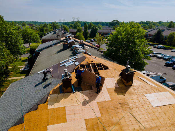 Trusted Roof Installation service in Cougar, WA - Brentwood Metal Roofing